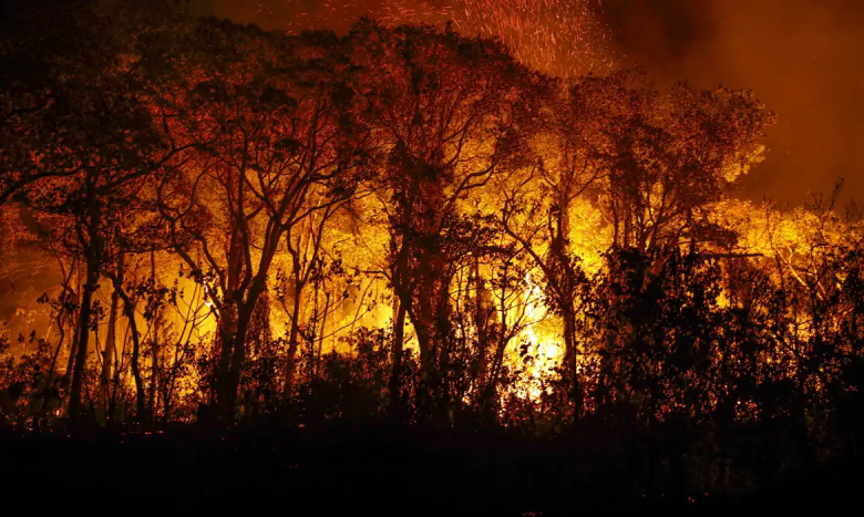 Incêndios florestais batem recorde no Pantanal