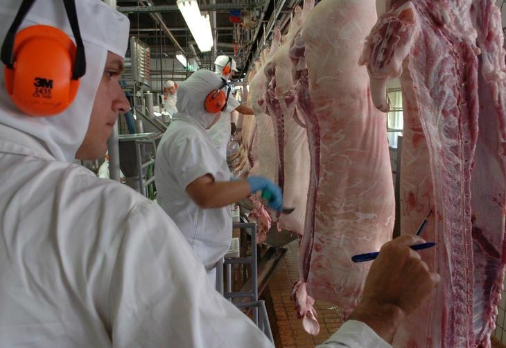 México suspense exportações de carne suína do Brasil