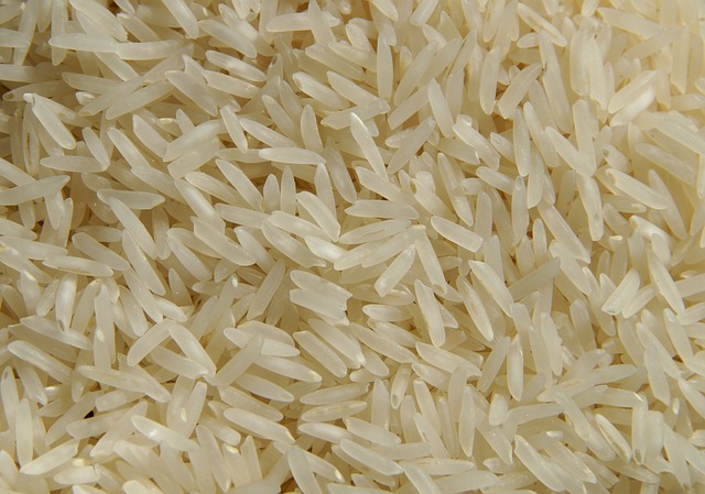 Brasil e Quênia fecham acordo para exportação de arroz brasileiro