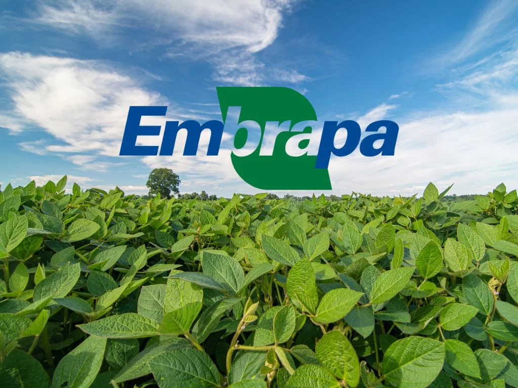 Interferência política na Embrapa ameaça o agronegócio brasileiro