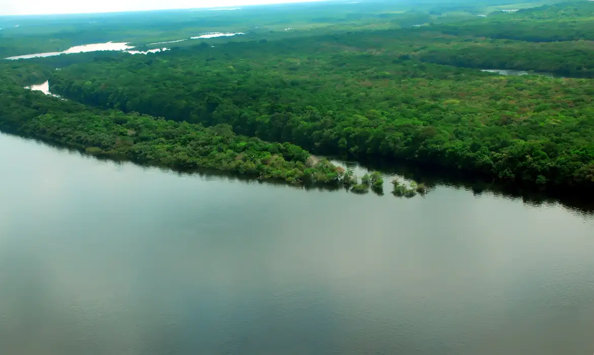 Entenda como as ONGs que atuam na Amazônia prejudicam o agronegócio brasileiro