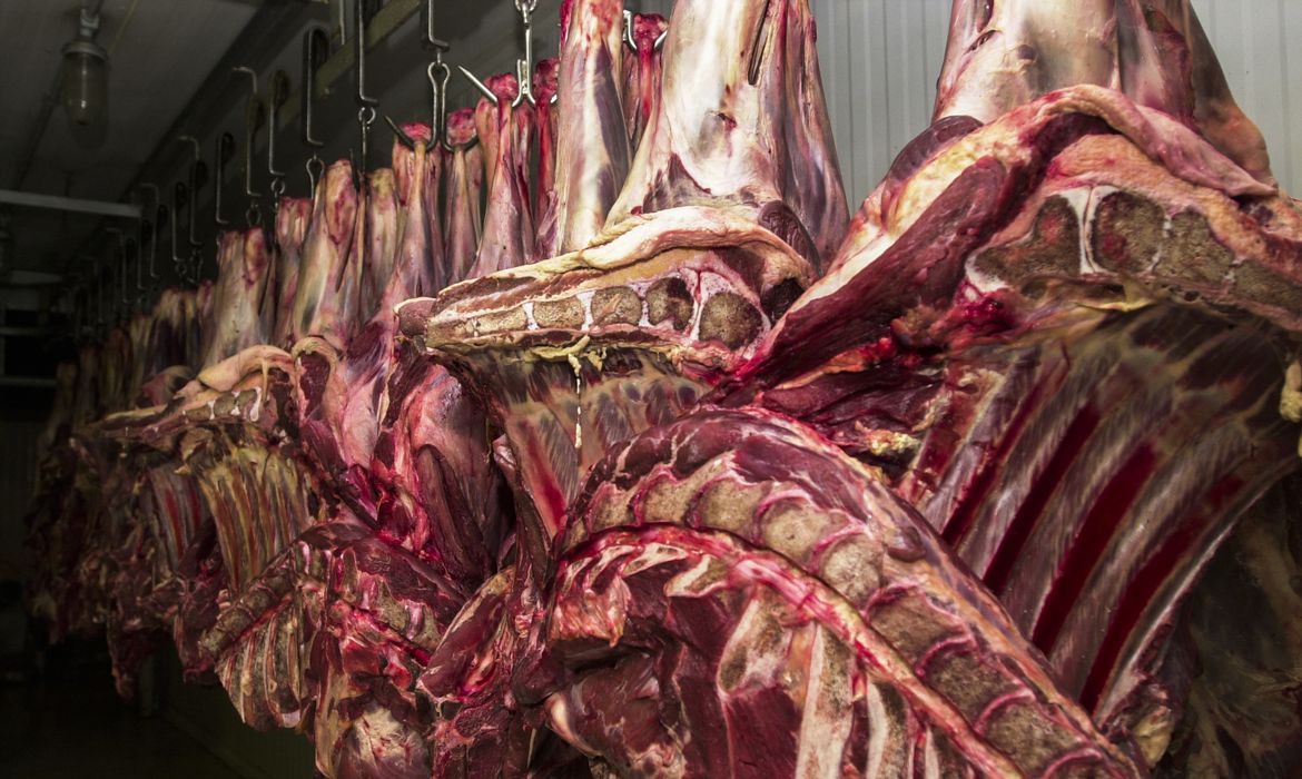 exportações carne bovina governo Lula