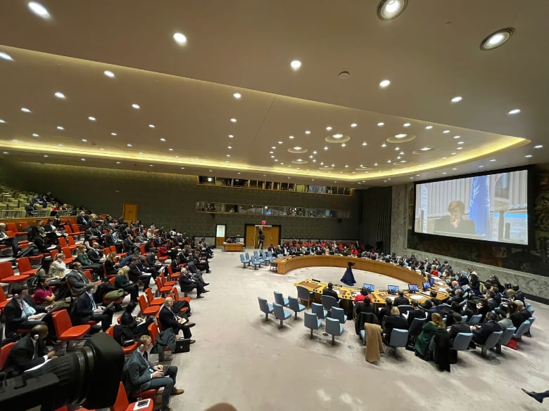 Rússia pede sessão do Conselho de Segurança da ONU