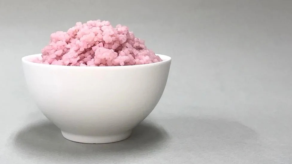Cientistas coreanos inventam 'arroz de carne'