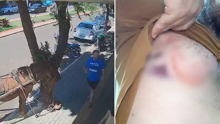 Vereador é atacado por burro enquanto andava em calçada; VEJA VÍDEO