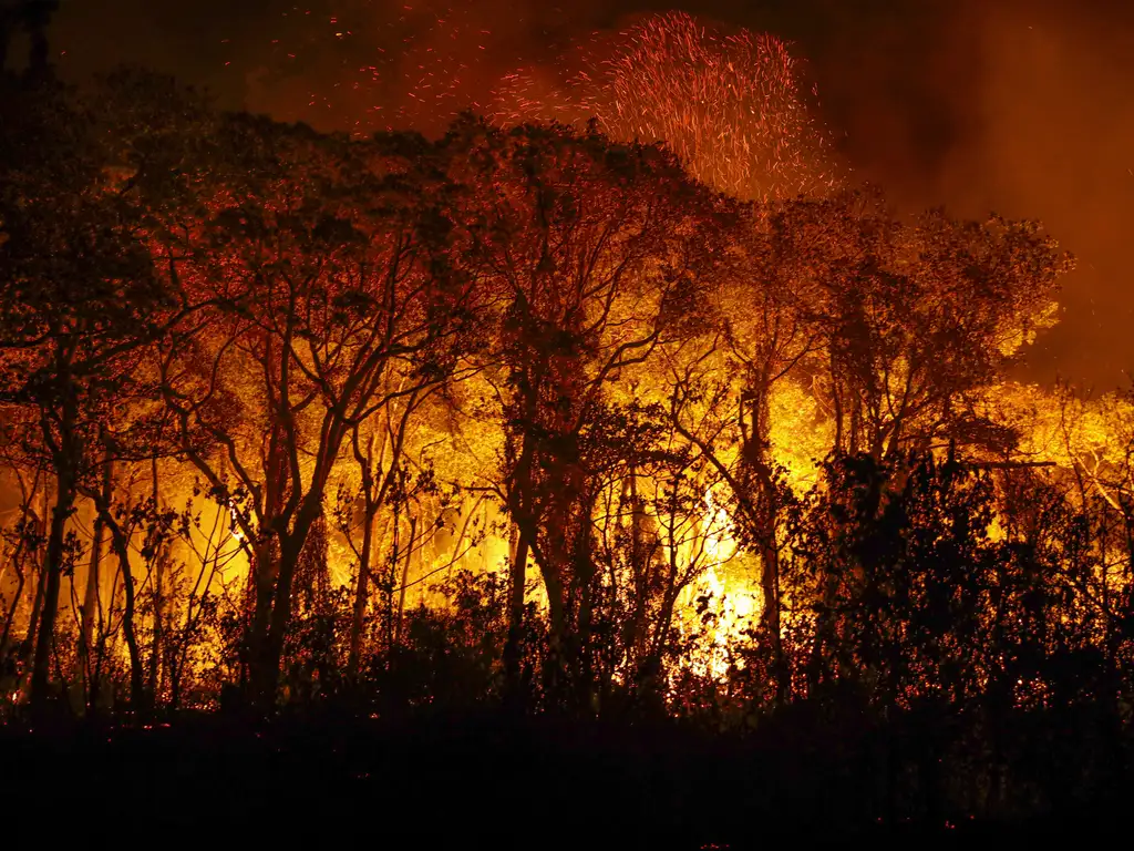 Amazônia em chamas: Brasil bate novo recorde de incêndios florestais 