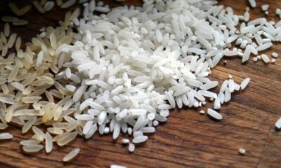Imagem mostra grãos de arroz integral e arroz branco em cima de uma mesa de madeira; Conab confirma anulação de leilão para importação do grão