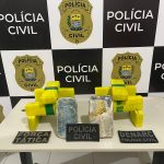 Polícia Civil prende passageiro transportando 12 kg de droga dentro de ônibus em Floriano – Polícia Civil