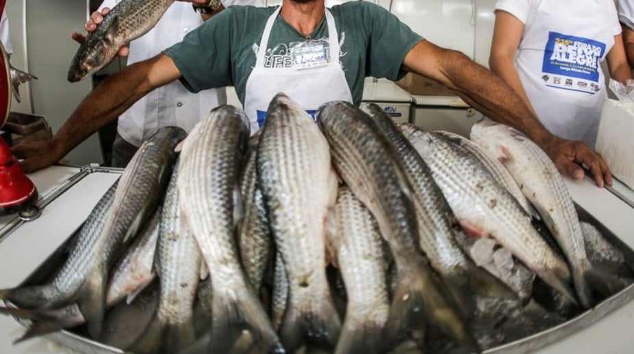Produção de peixes de cultivo cresceu nos últimos 10 anos